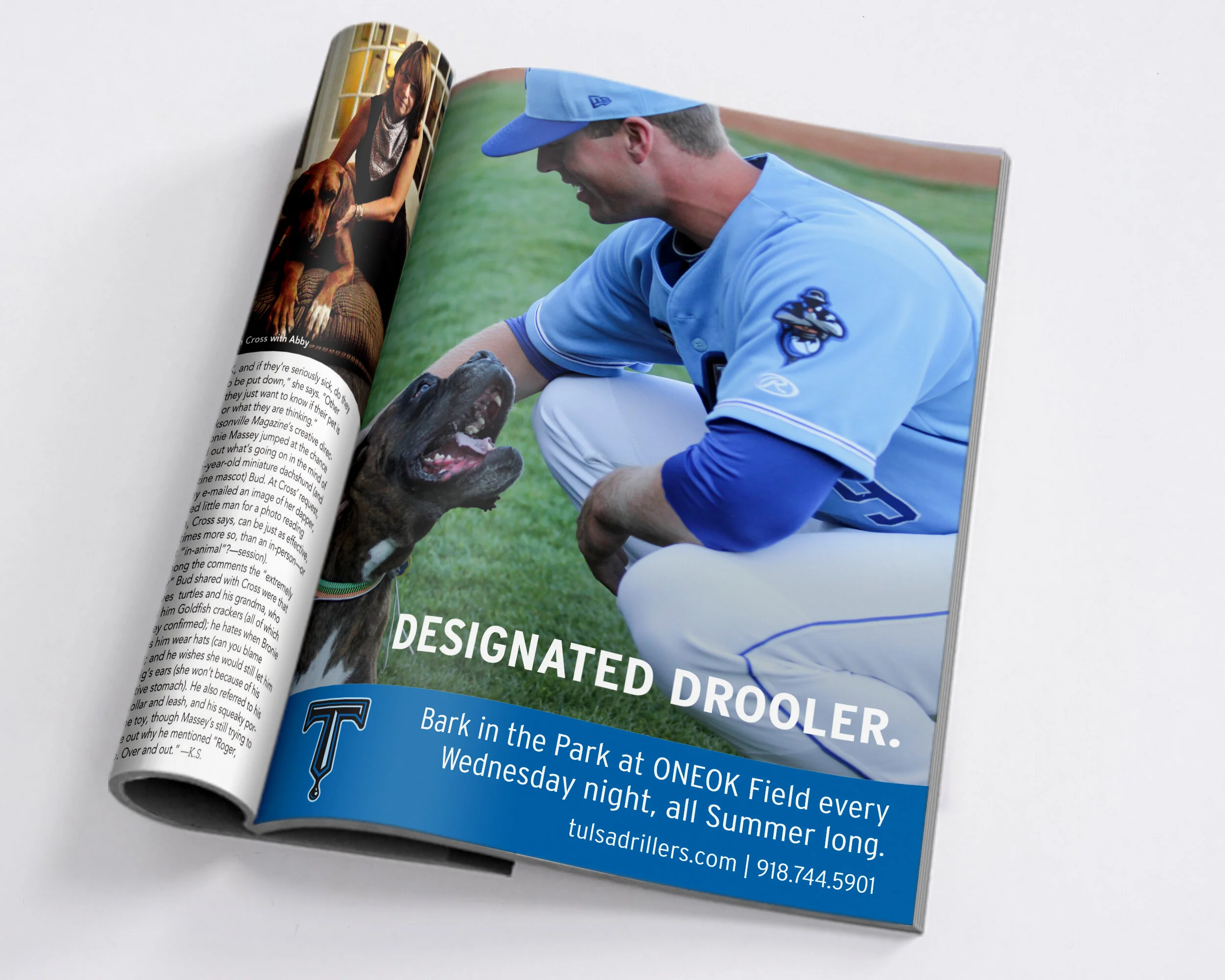 bark ad_2500website.jpg