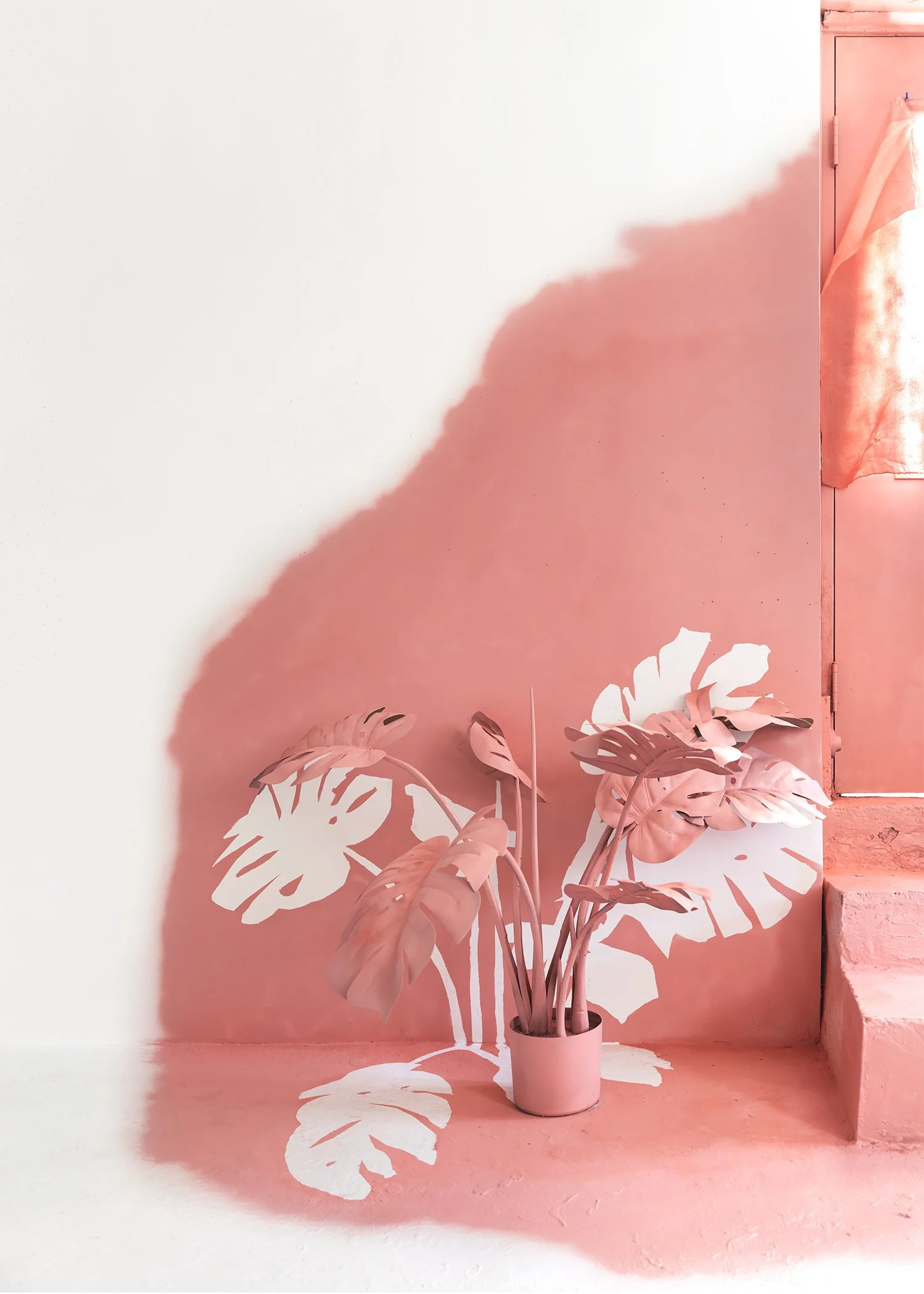 pink_plant2_NEW copy.jpg
