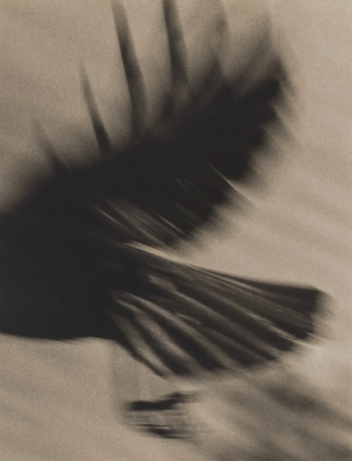 Jane Olin Crow+9.jpg