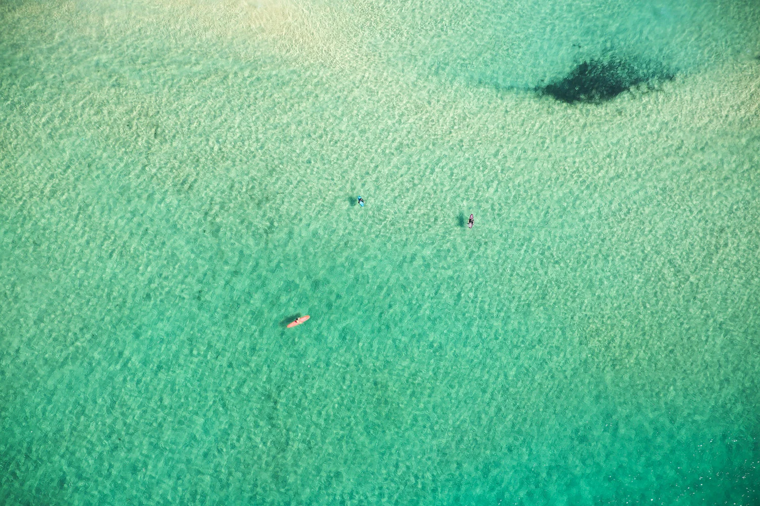 aerial-aqua-water-scene-with-swimmers-at-bondi.jpg