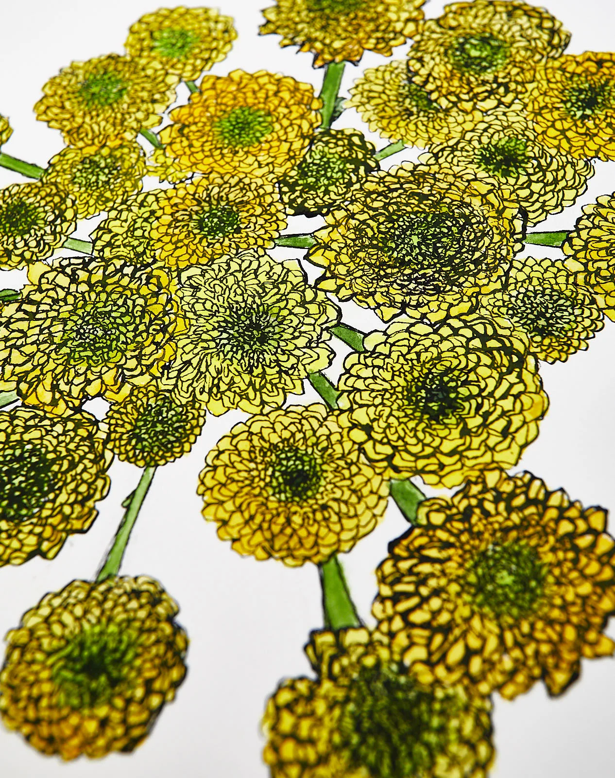 YellowButtonPomPom0008.jpg