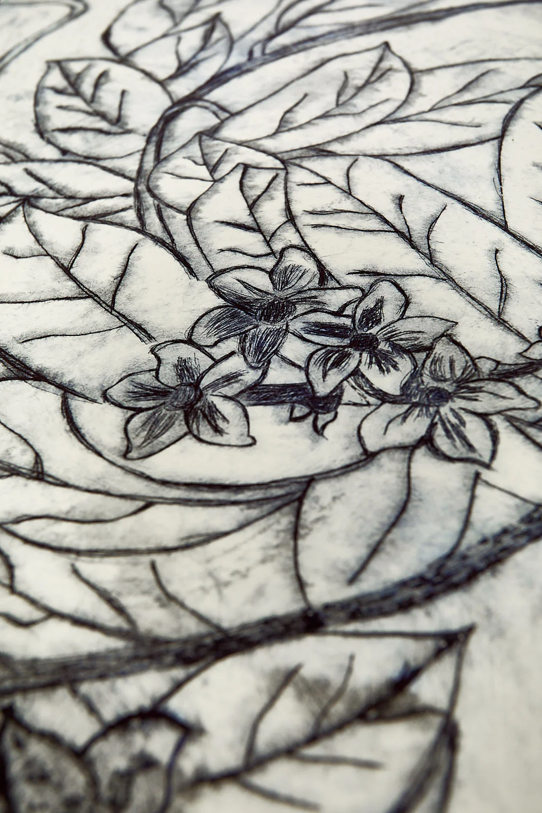 etchings0458.jpg