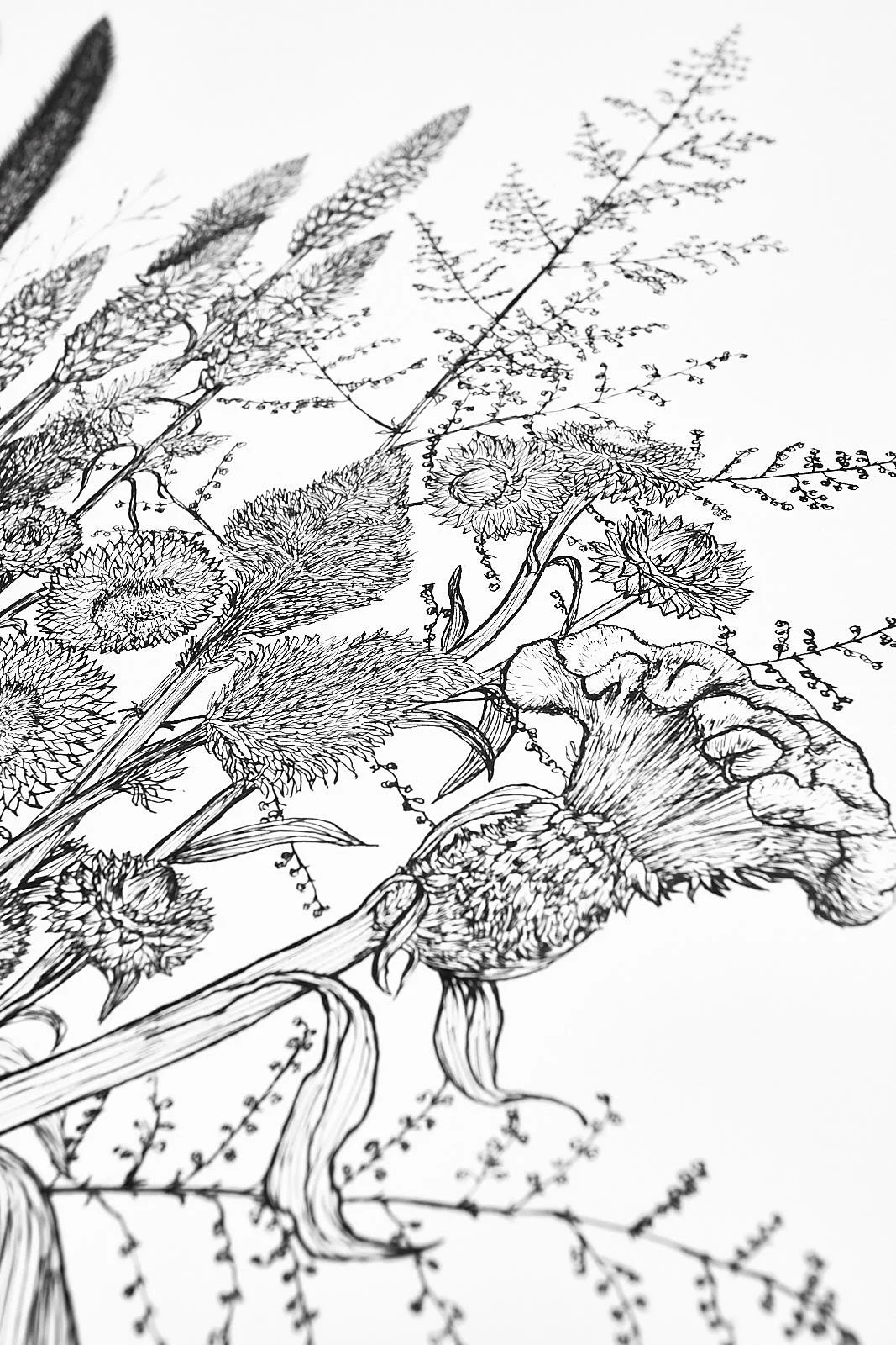 hydrangea0436.jpg