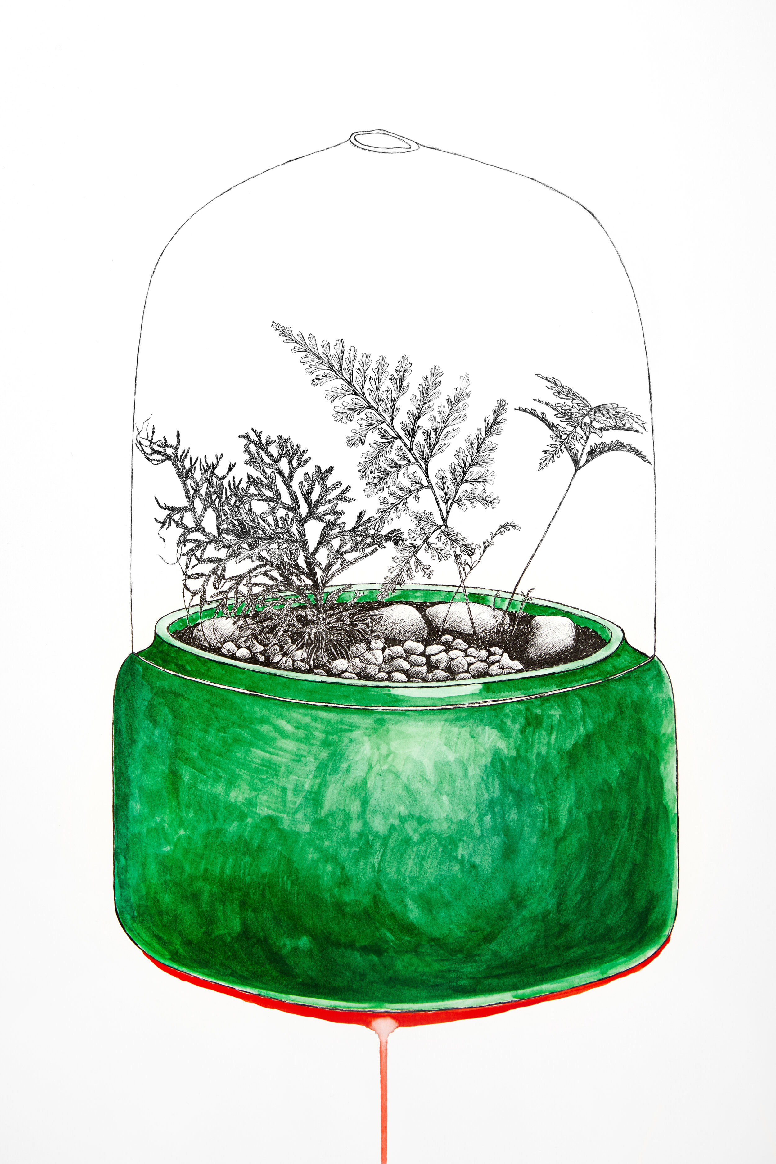 Bobby'sTerrariumDetail.jpg