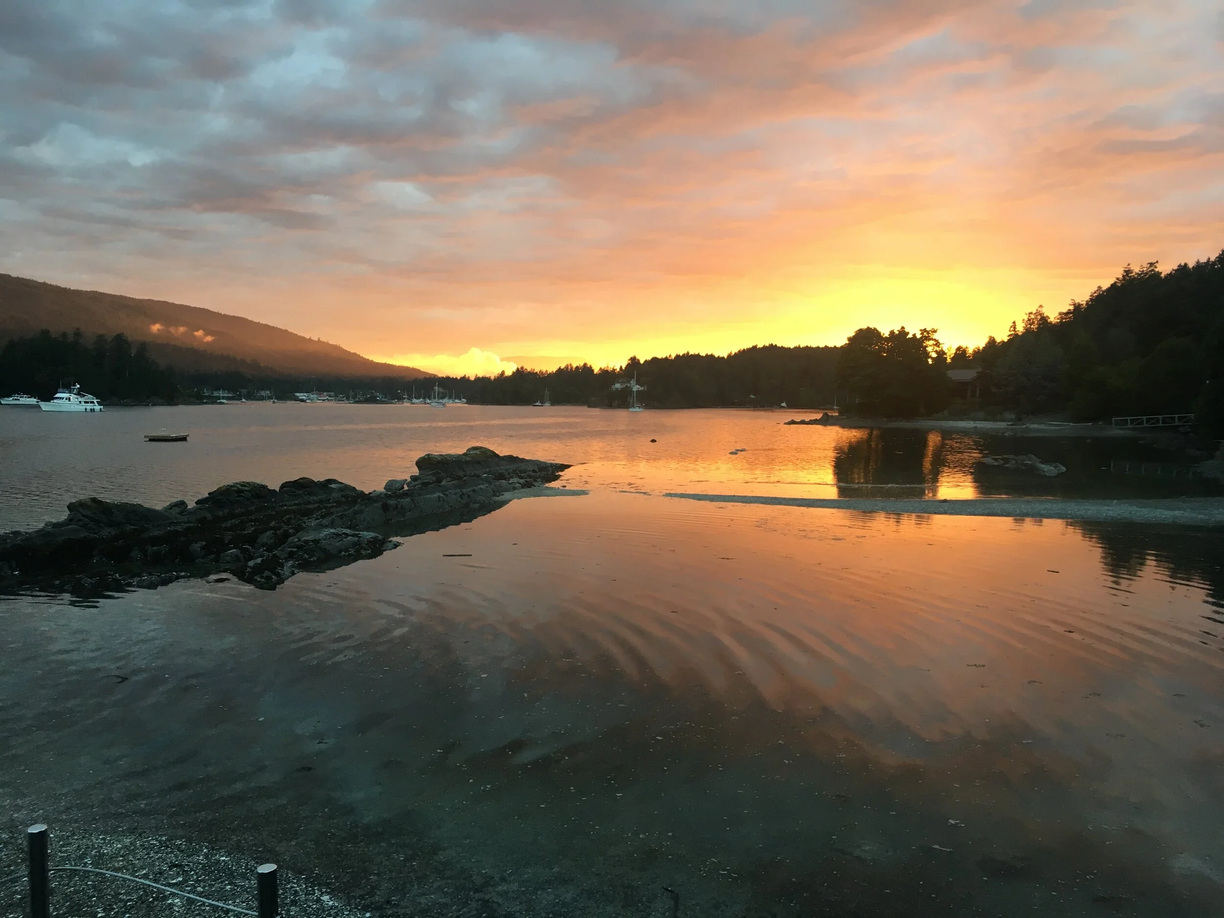 Beer at the Wicklow, Vancouver