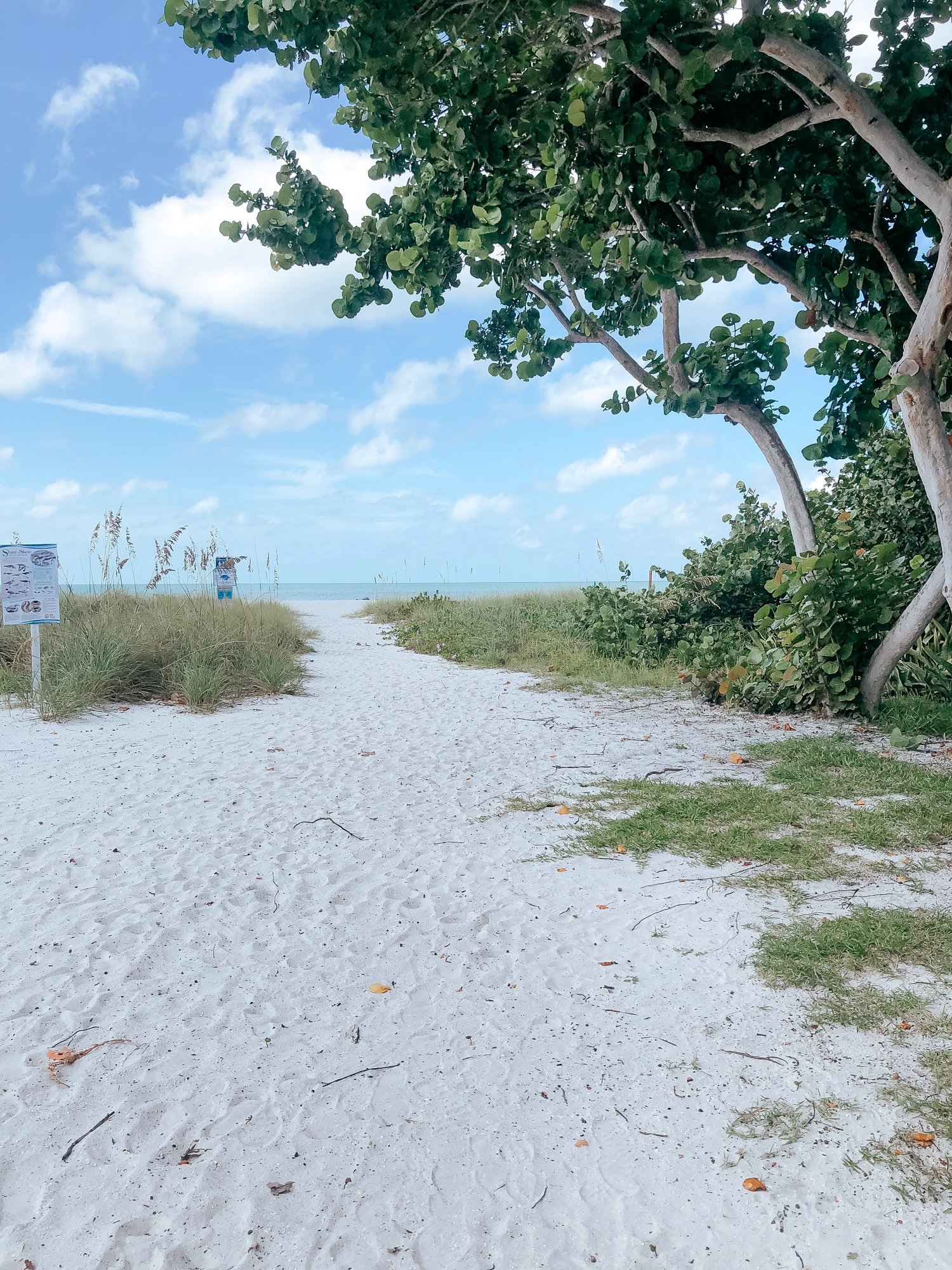 Morning Routine: Start with Positivity — Emily Parsons