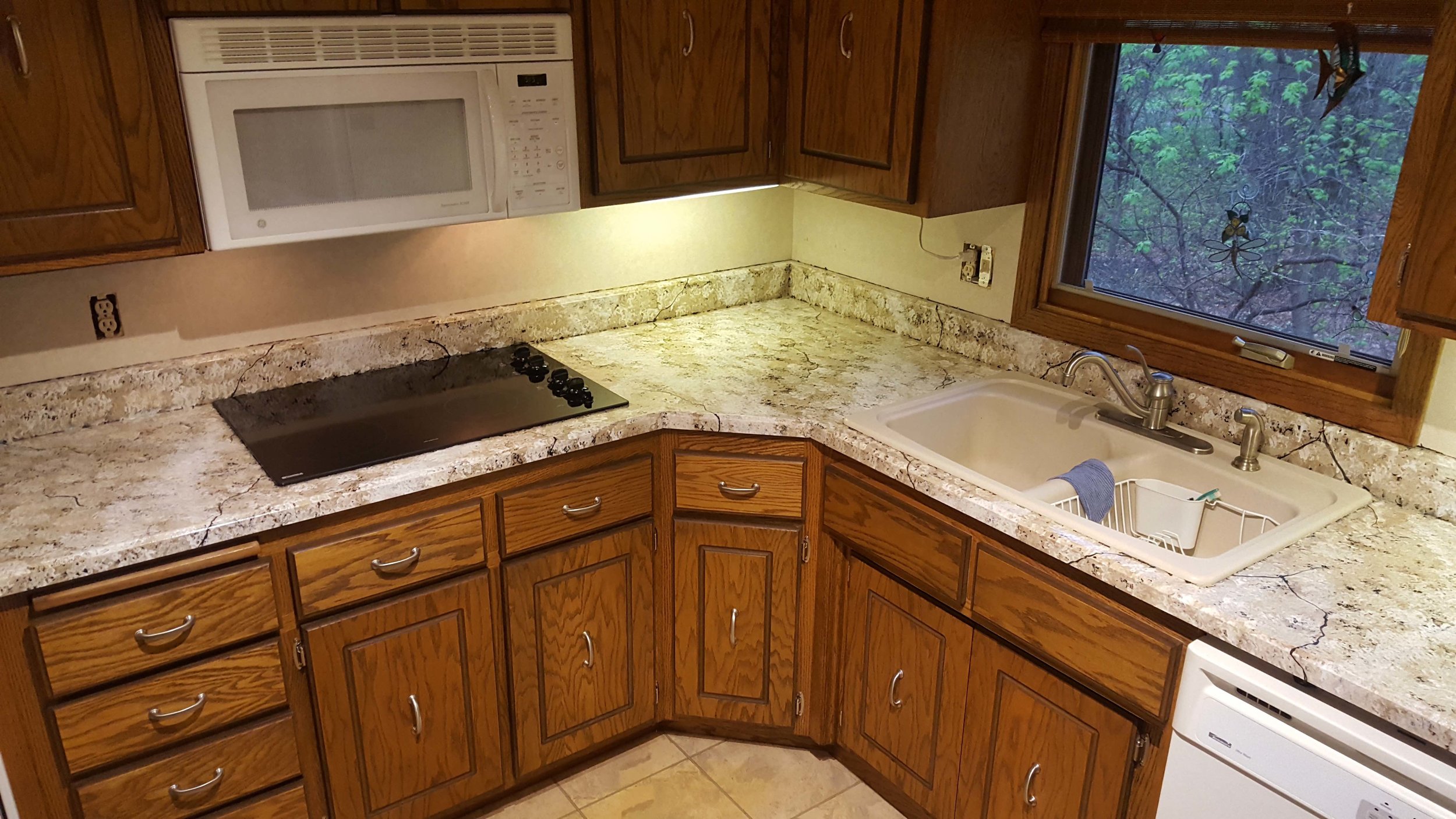 RaymondCraft_HomeRepair1.jpg