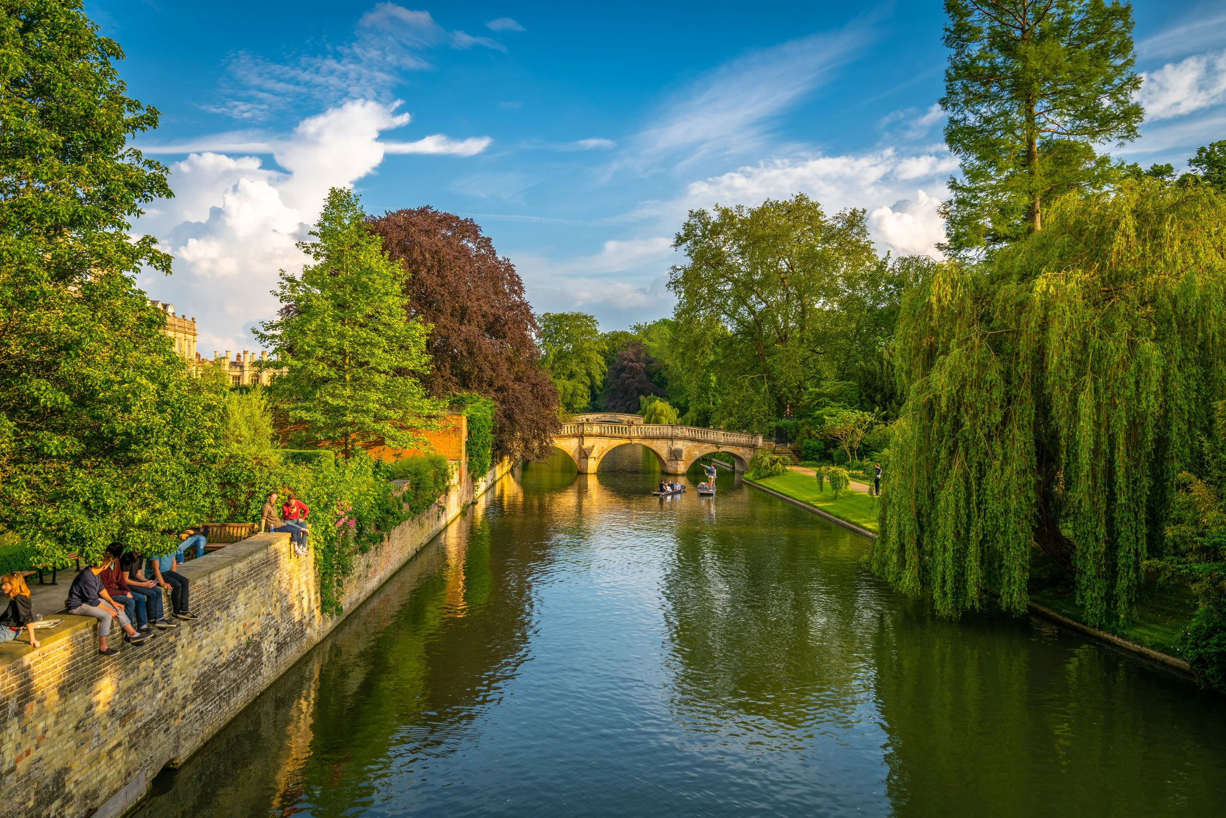 The Cambridge Backs