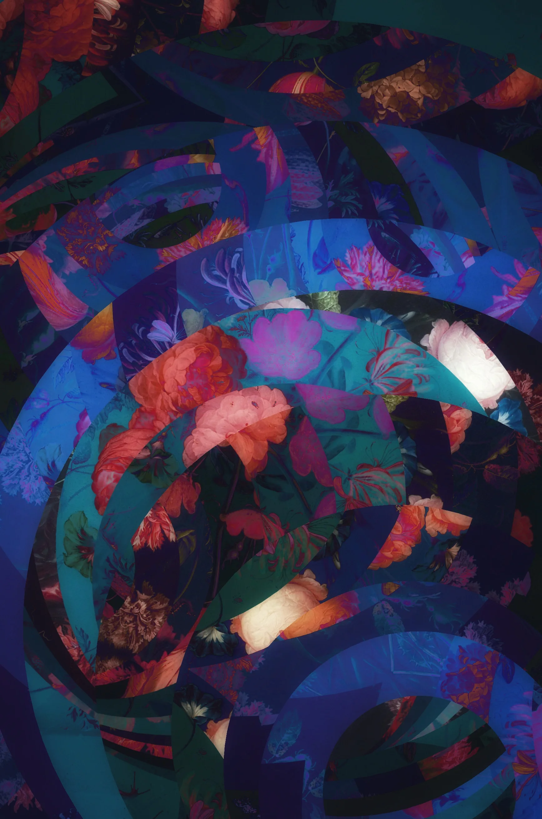 fullsizeoutput_1fea.jpeg