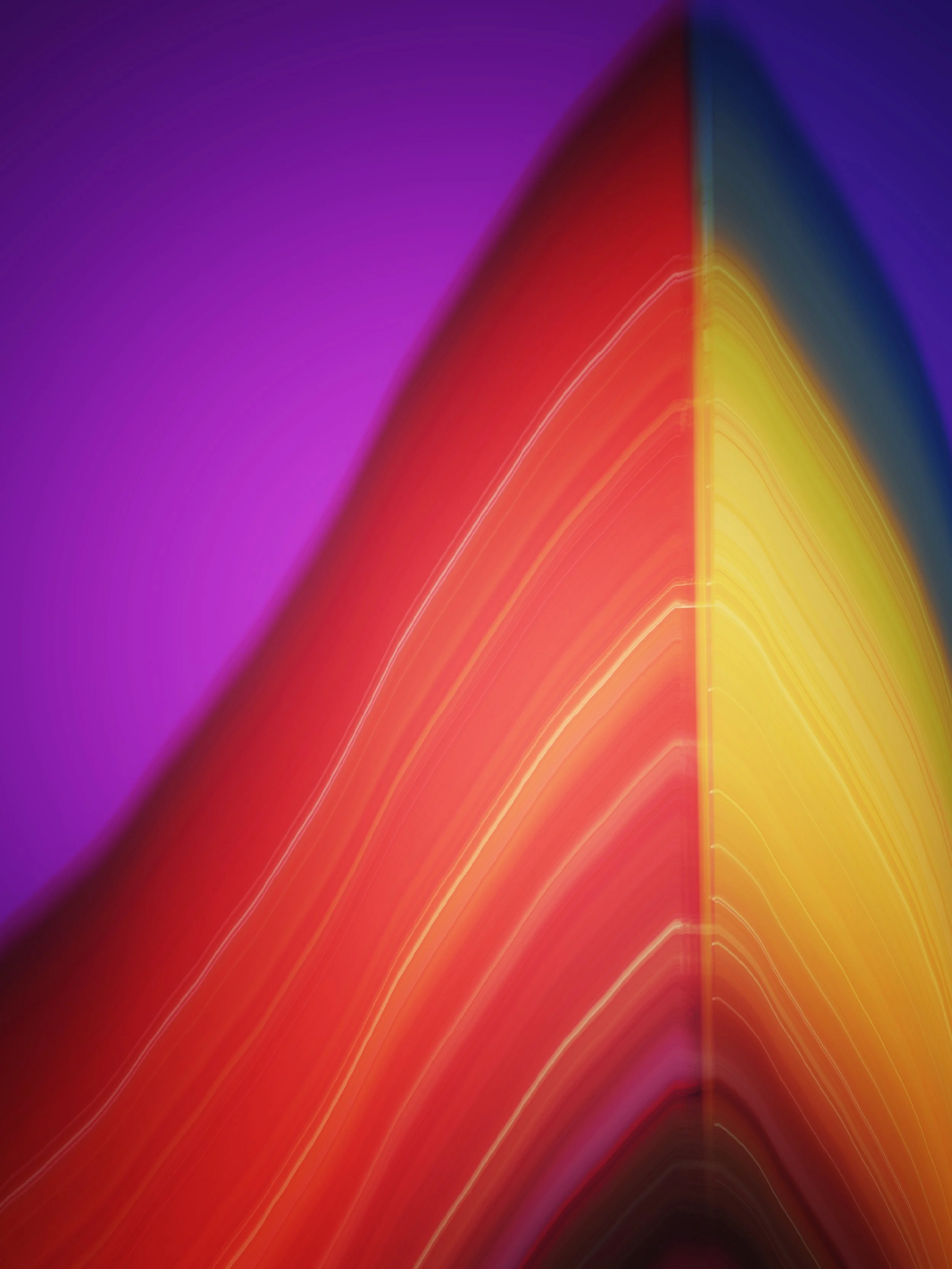 fullsizeoutput_1be5.jpeg