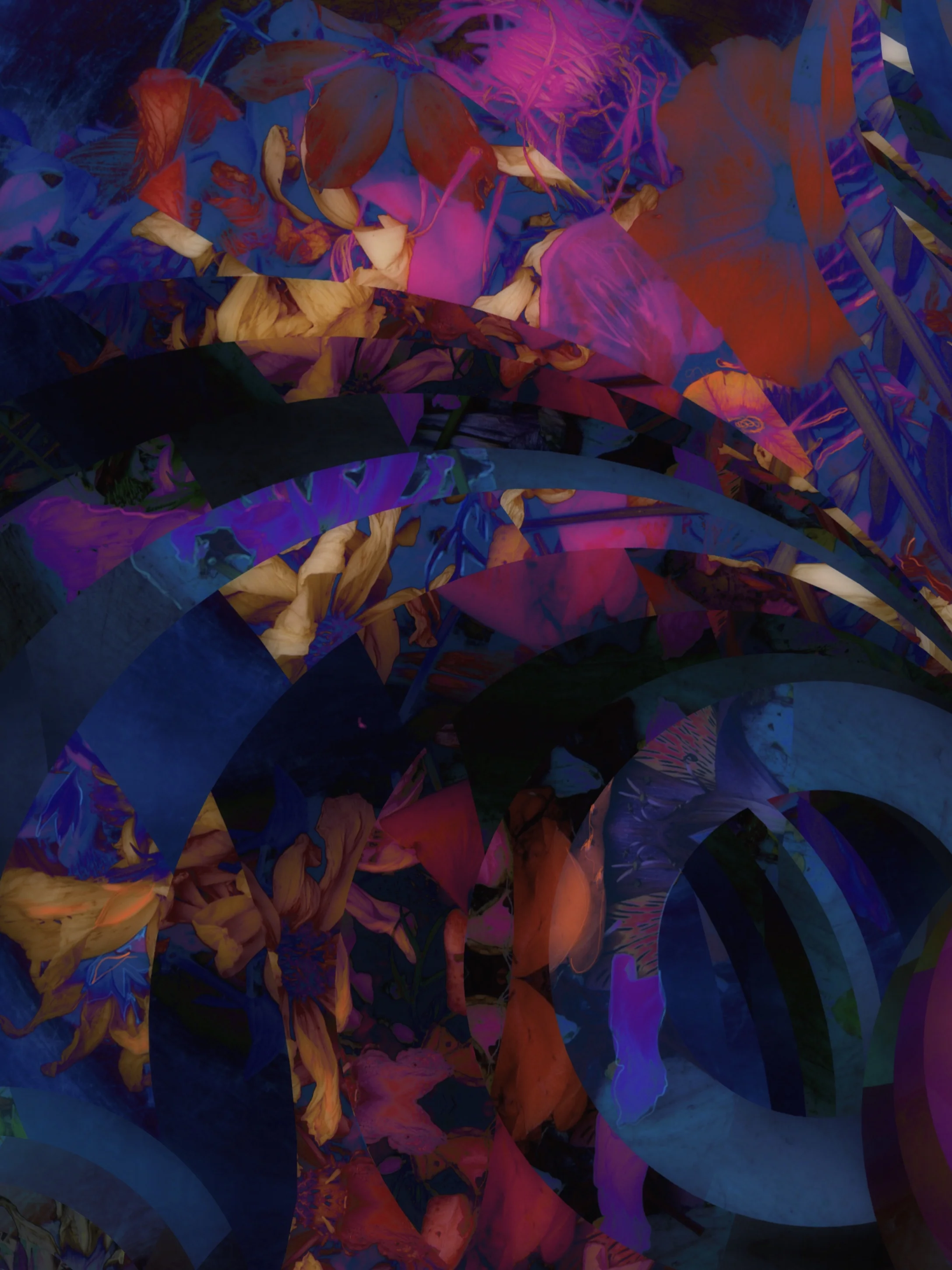 fullsizeoutput_209c.jpeg