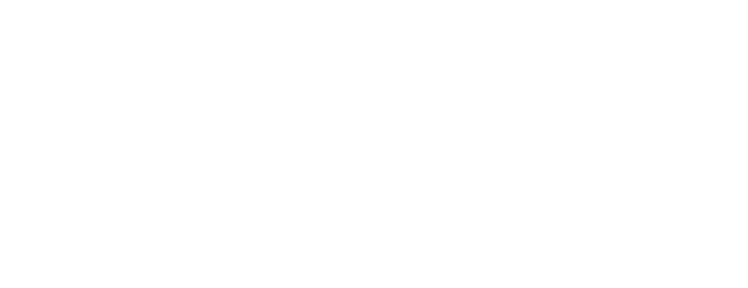 Strive Fitness