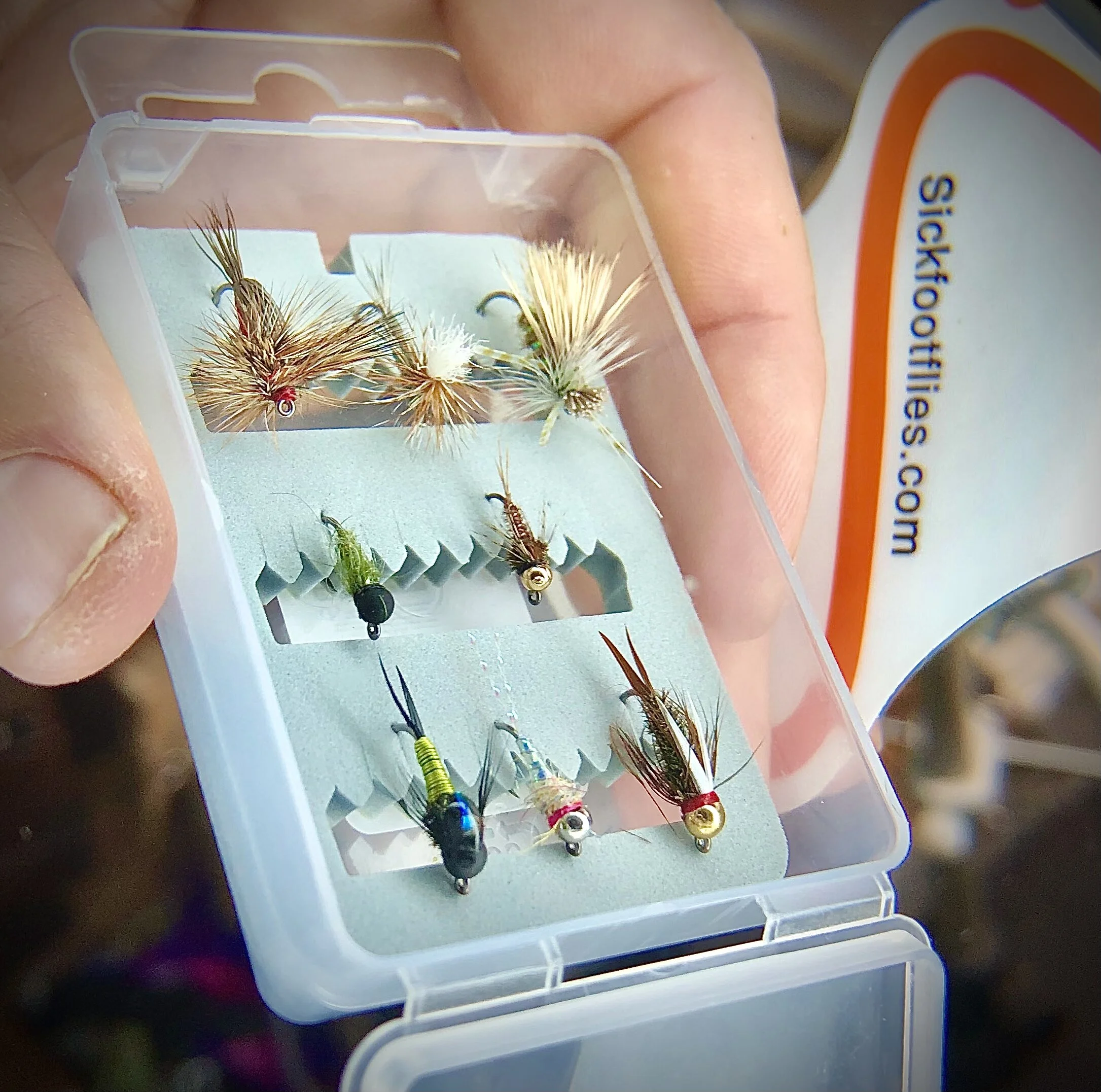 3E9942B5-119E-460C-8214-06041ECBEB1D