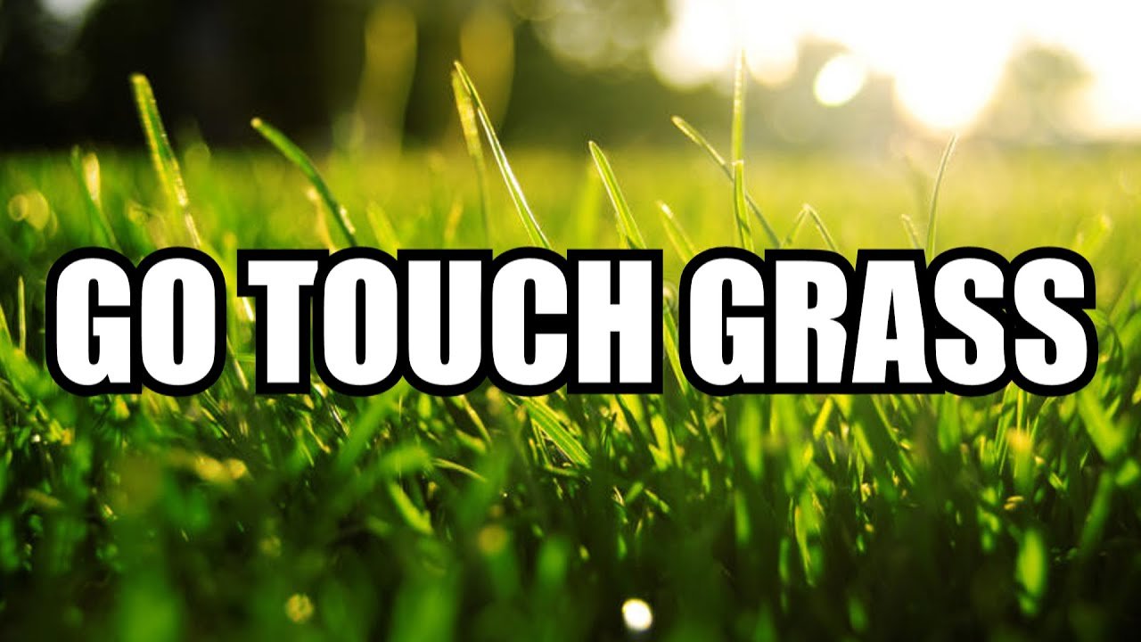 grasstouchgrass｜TikTok Search