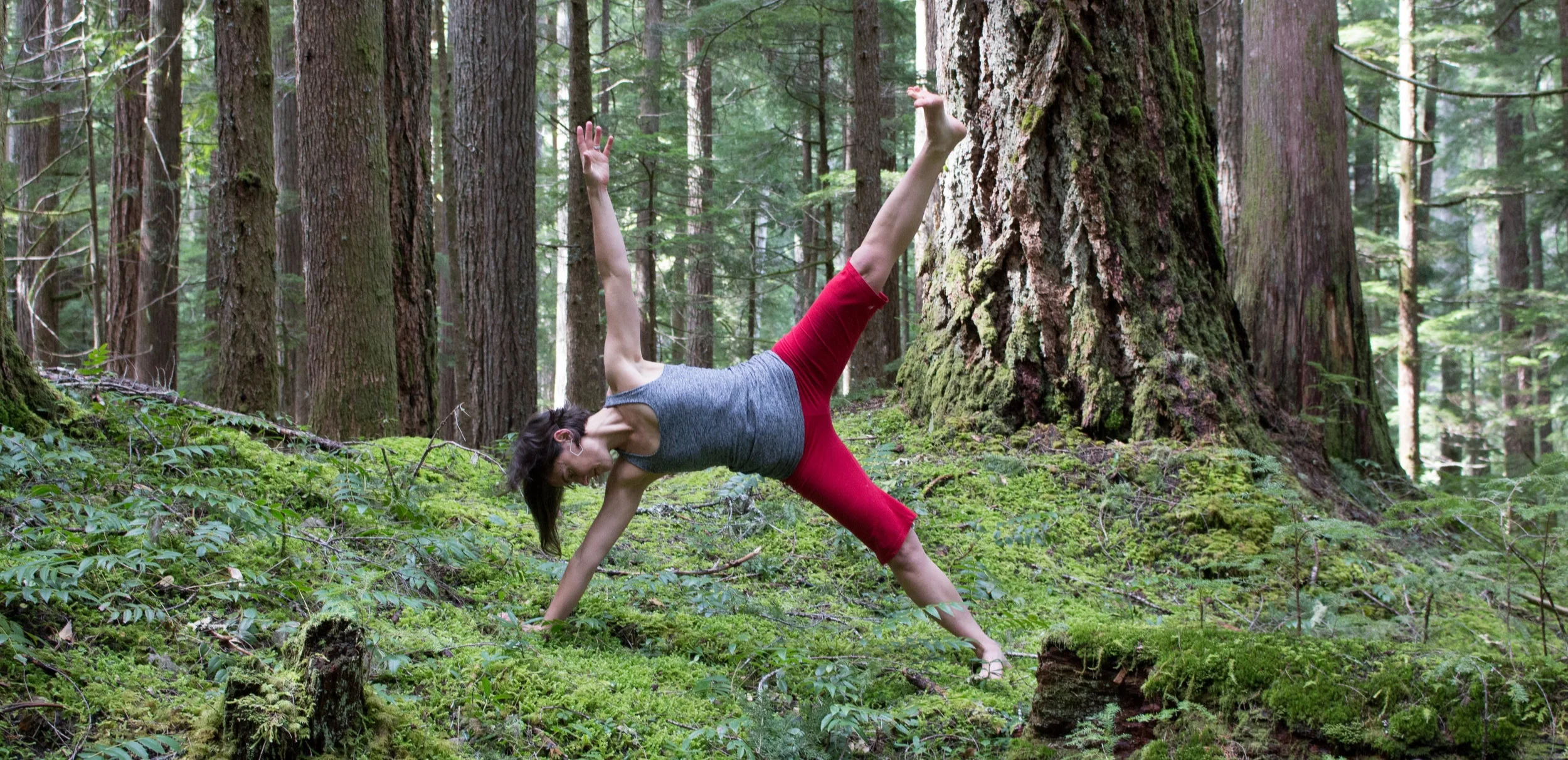 Emerald Forest at Breitenbush Retreat Center . Photo by Melina Meza .