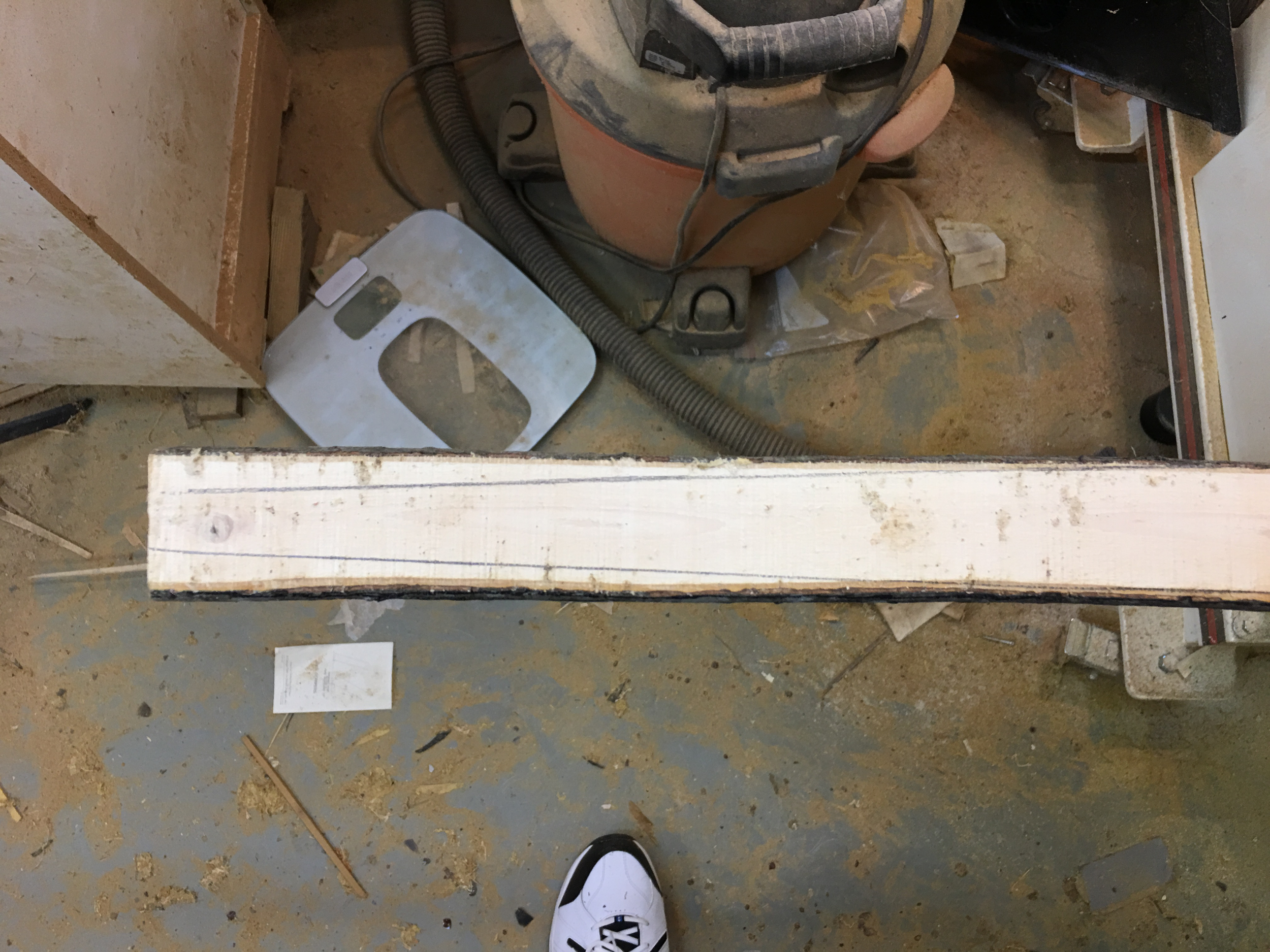 Building a Sapling Bow-10.png