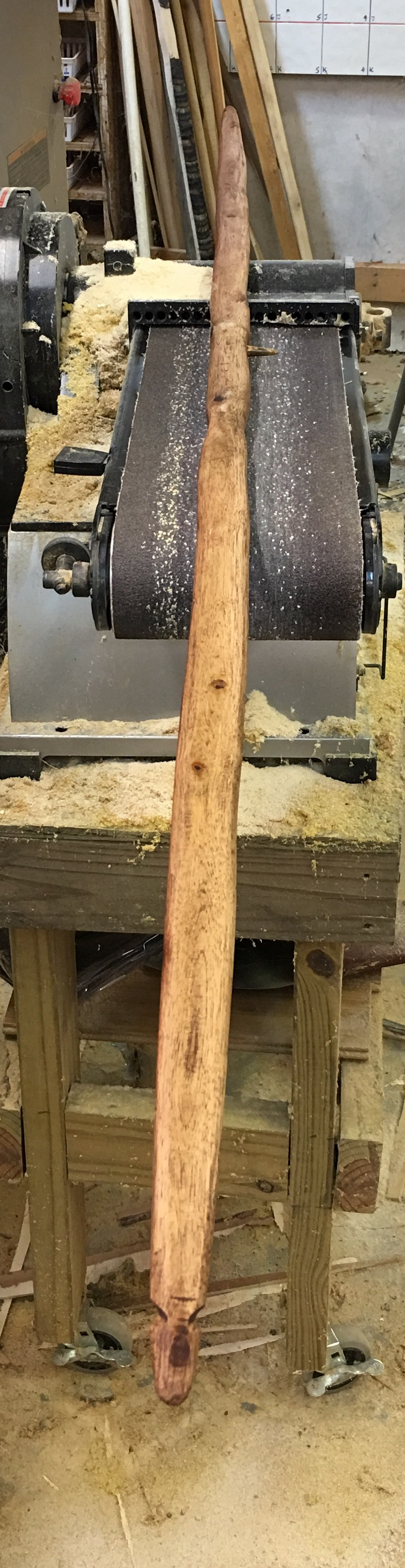 Building a Sapling Bow-20.png