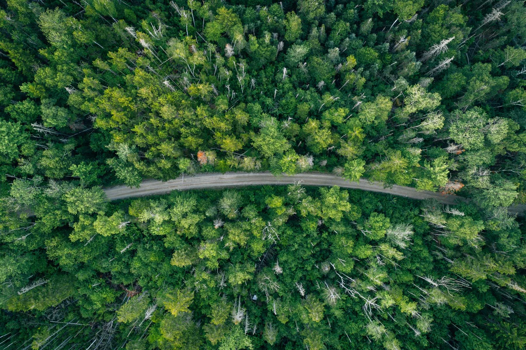 A Road Less Traveled