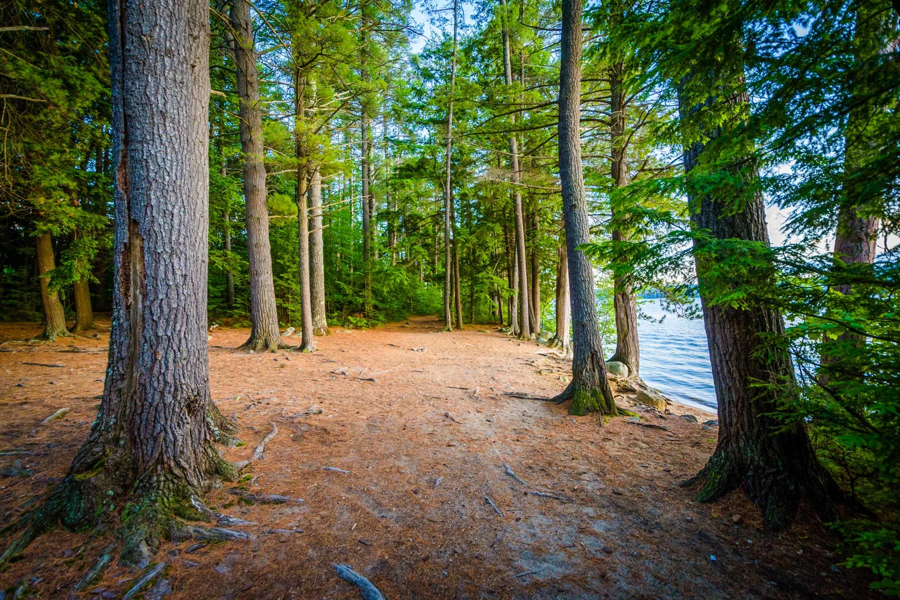 Ahern Trails