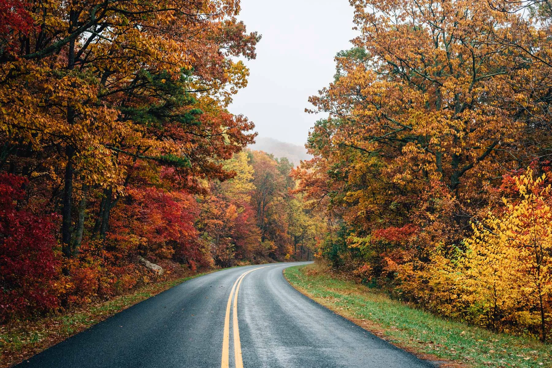 Fall Blue Ridge