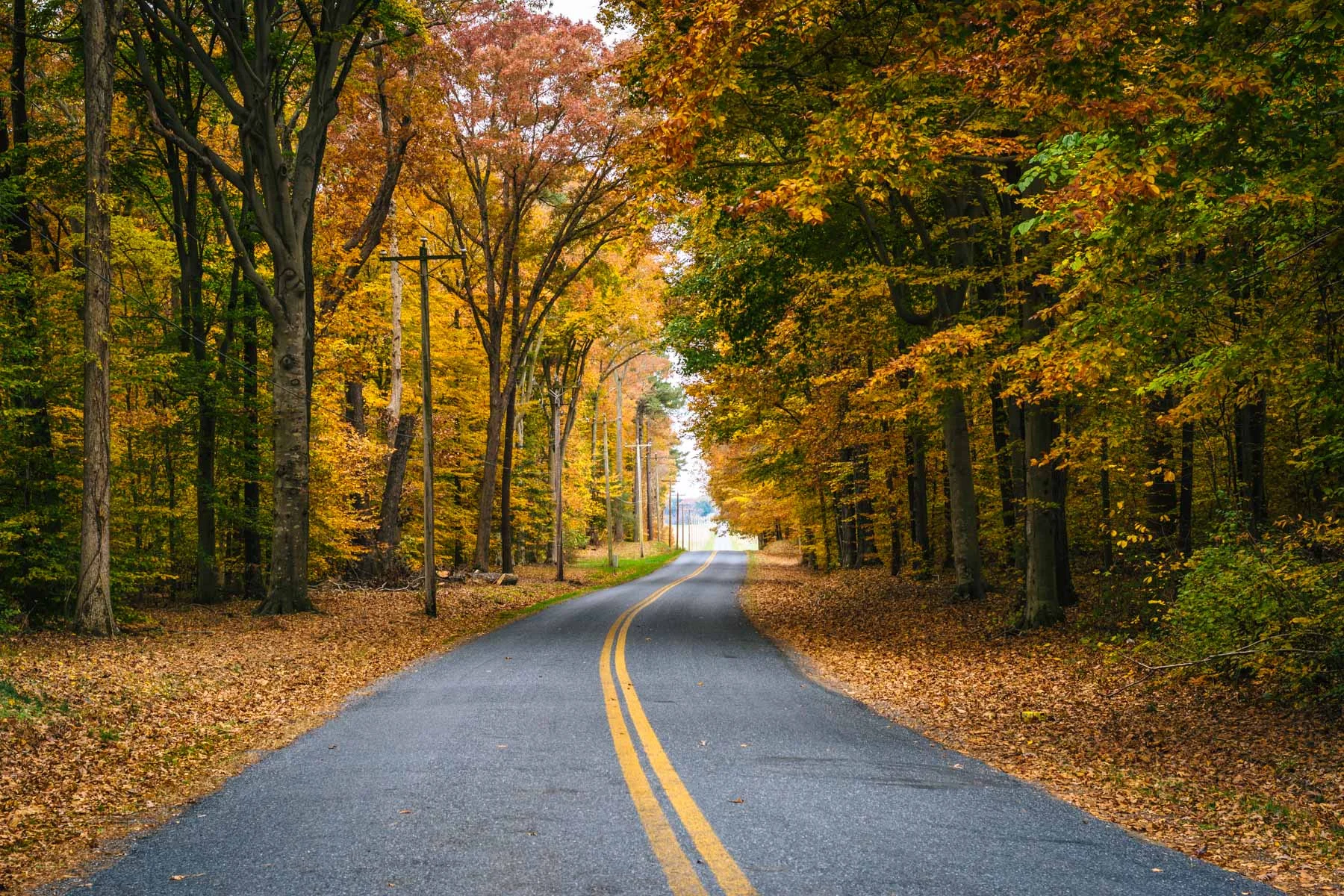 Carmichael Road, Wye Island