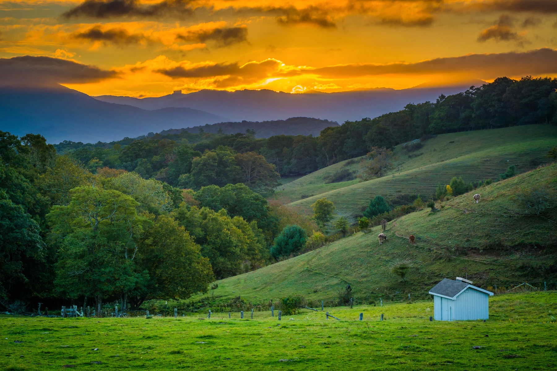 Rolling Hills