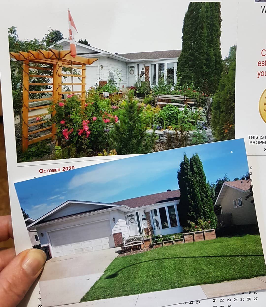 4 year difference. Thanks to our local realtors who give annual calendars with a pic of our house. The neighbours said the photographer was at it for a while to get the shot over the plants! It's not for sale.
From a monoculture grass scape... to a l