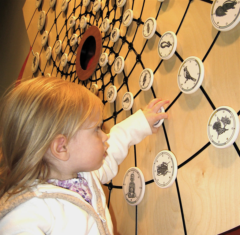  Connection Web: detail :: 2009.  The sturdy construction and easily cleanable materials mean that children can touch and twist the tiles while looking at the intricate drawings on them. The relative scale of the drawings is deliberately shifted, so 