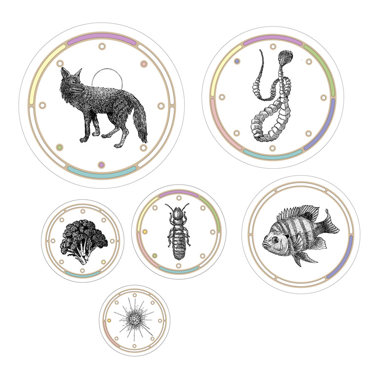  Connection Web: image samples for decal printing :: 2009.  The food web that is illustrated in this sculpture includes plants, animals, protists, fungi, people and human food. Shown here are a coyote, tapeworm, worker-termite, head of broccoli, blue