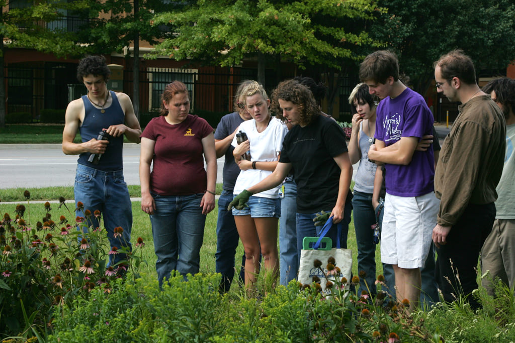  KCAI Brush Creek Community Rain Garden, Kansas City, MO :: 2006-present.  Intern teaching other students. Interns do everything from working in the garden, to teaching others about it, to organizing events, to communicating with partners and volunte