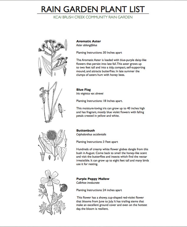  KCAI Brush Creek Community Rain Garden, Kansas City, MO :: 2006-present.  Seed packet plant list. It also has an illustrated guide to the native plants that are to be found in the garden, as well as the most common invasive weeds that should be swif