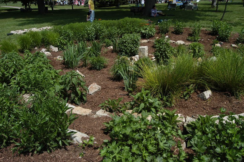  KCAI Brush Creek Community Rain Garden, Kansas City, MO :: 2006-present.  Upper bowl in the spring, after weeding and mulching by a 30 person volunteer crew. Such work parties are not only fun and educational, but work that would have taken one pers