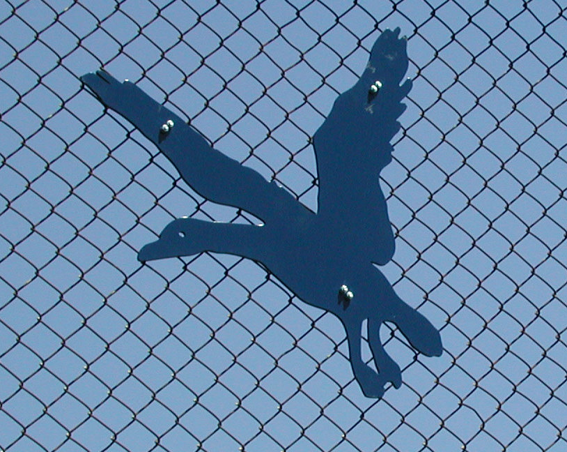  Graham Hill Elementary School, Seattle, WA – Salmon cycle: Shore birds, water jet cut steel, powder coating, approximately 24” x 24” x 1” :: 2004.  Duck. We mounted the bird silhouettes on the rusty old chain link fence around the schoolyard. 