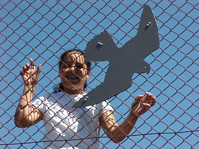  Graham Hill Elementary School, Seattle, WA – Salmon cycle: Teaching component :: 2004.  Student with the hawk she worked on. 