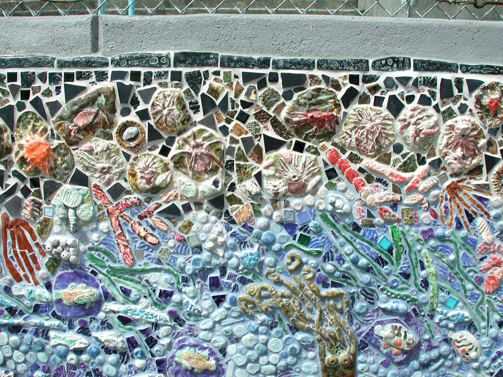  Graham Hill Elementary School, Seattle, WA – Salmon cycle: Tide Pool Mural, high fire ceramic and glass, detail :: 2004.  Mural edge close up showing the diatom border. This part of the installation focused on the saltwater phase of the salmon life 