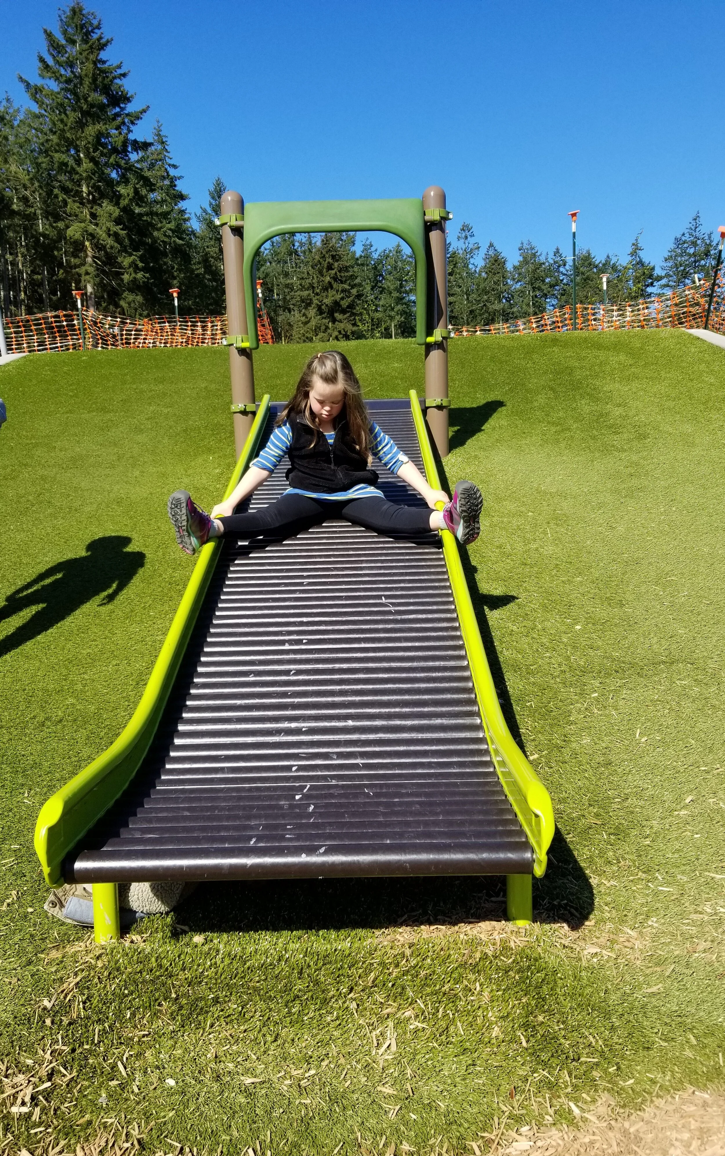 Roller Slide - $9,500