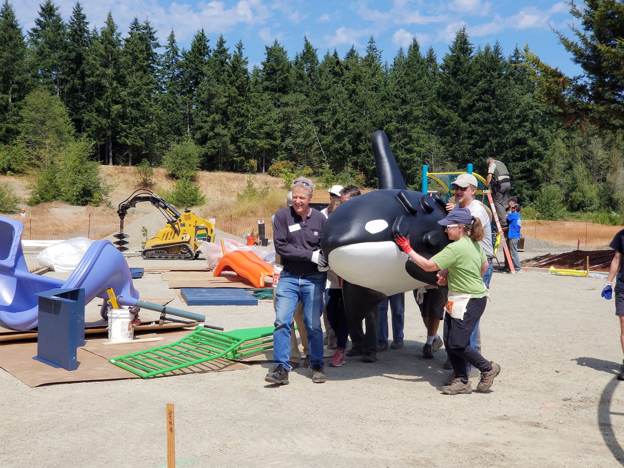 orca in the playground.jpg