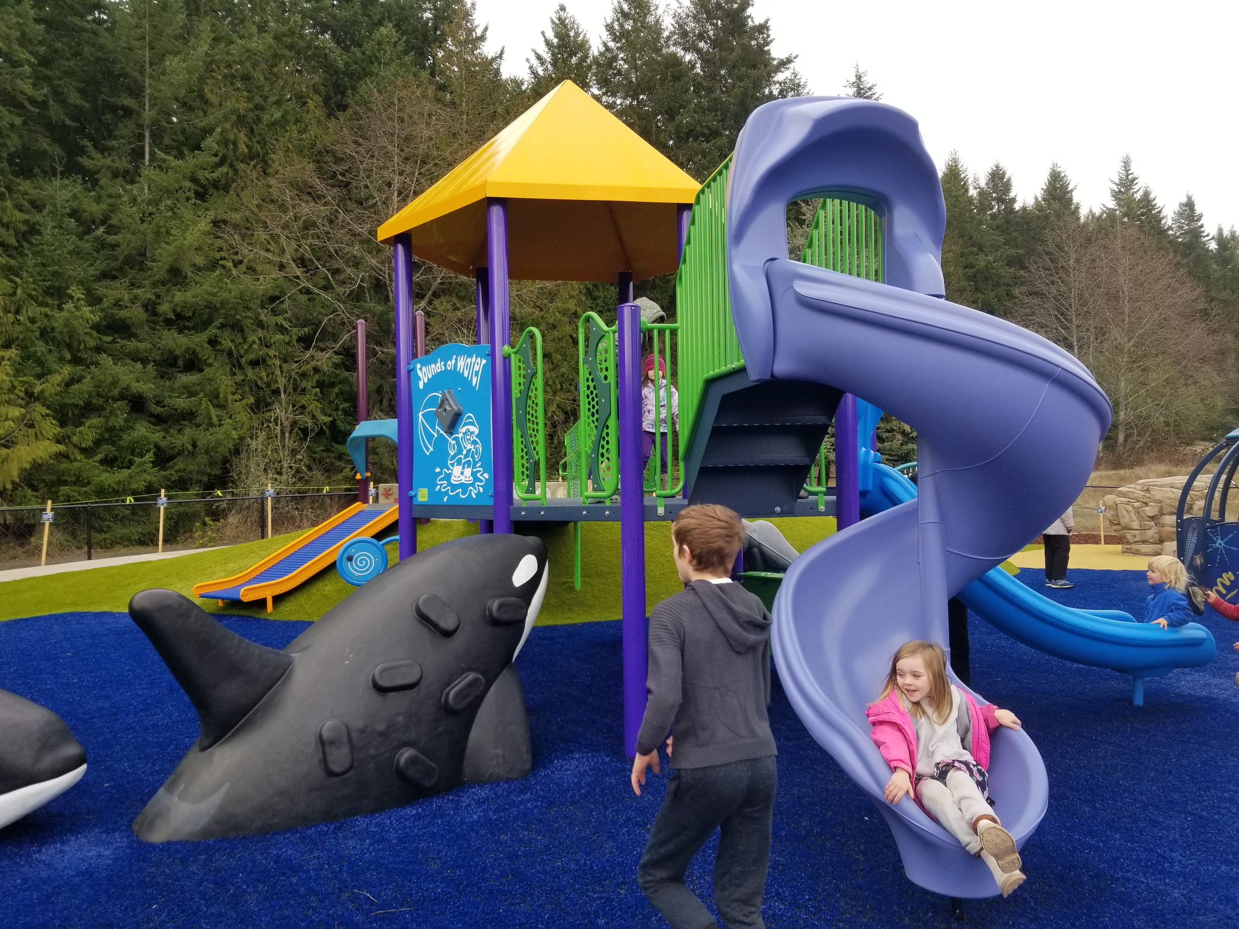 orca slide 1-2-23.jpg