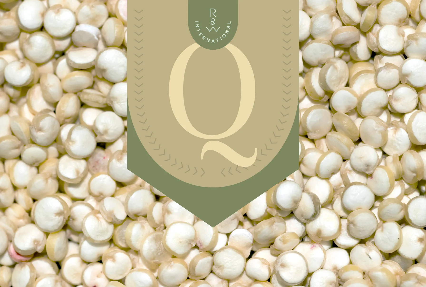 Quinoa