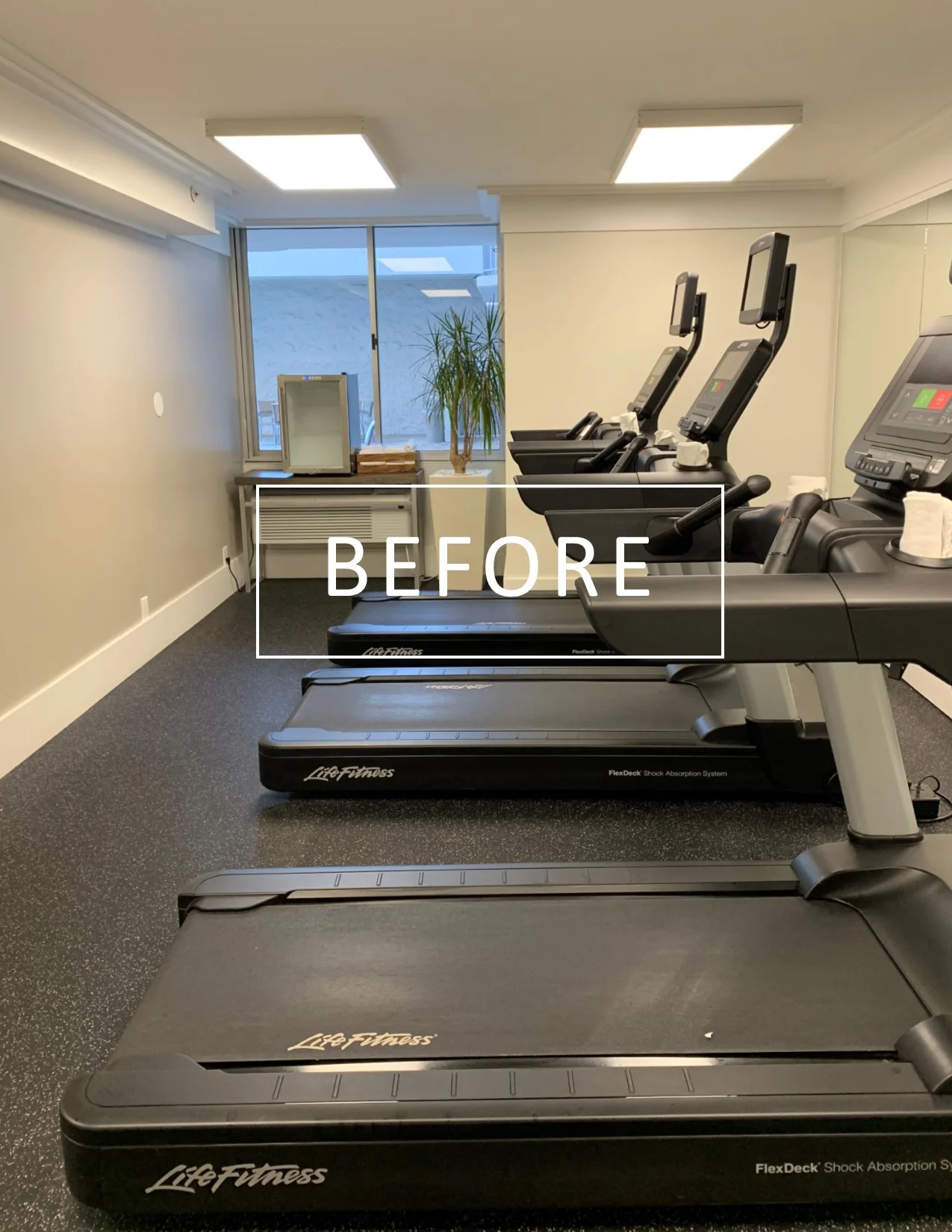 CMLBD Before Image 1A.jpg