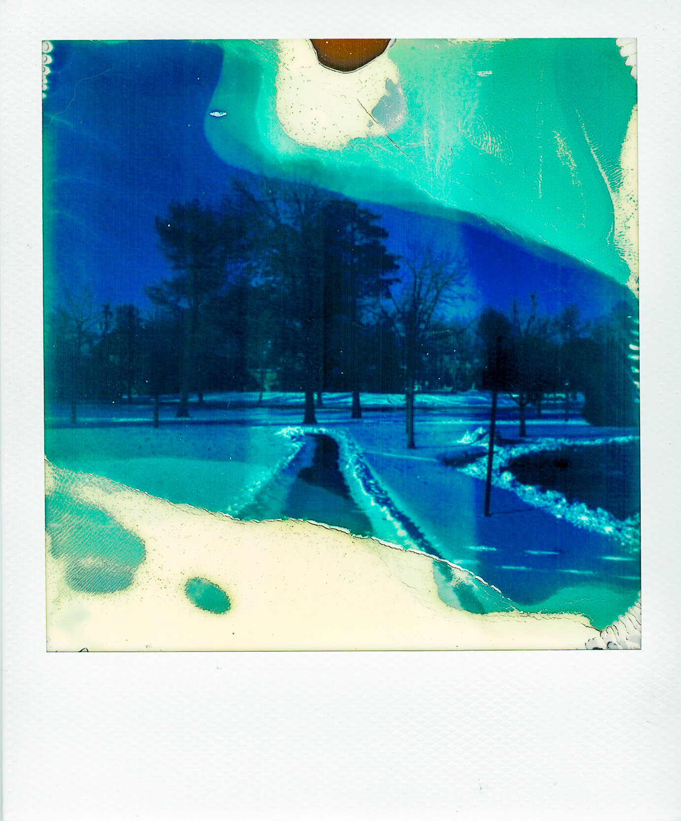 Polaroids-14.jpeg