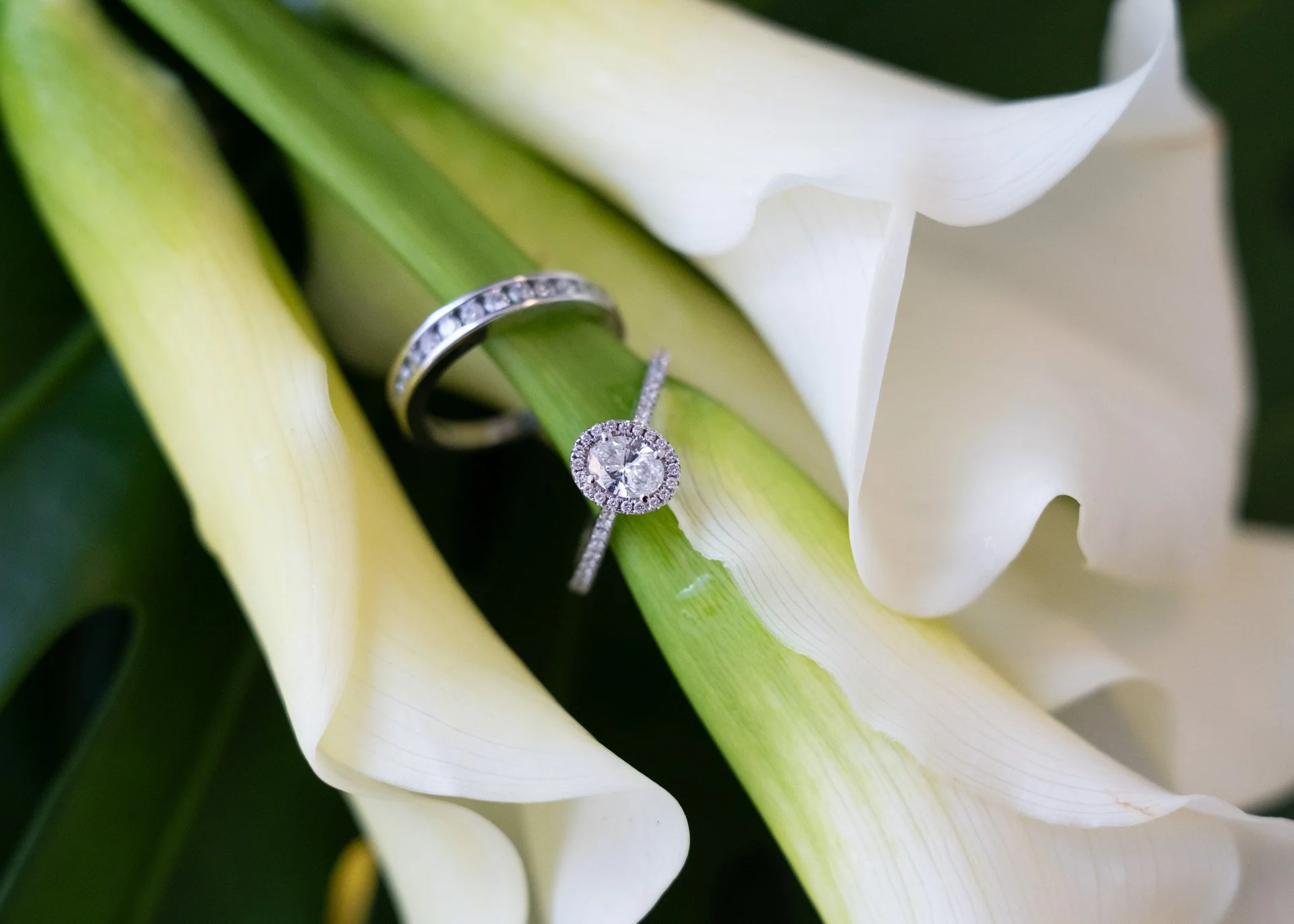Krystle and Byran Wedding-33931.jpg