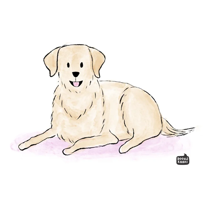 4-golden_retriever.jpg