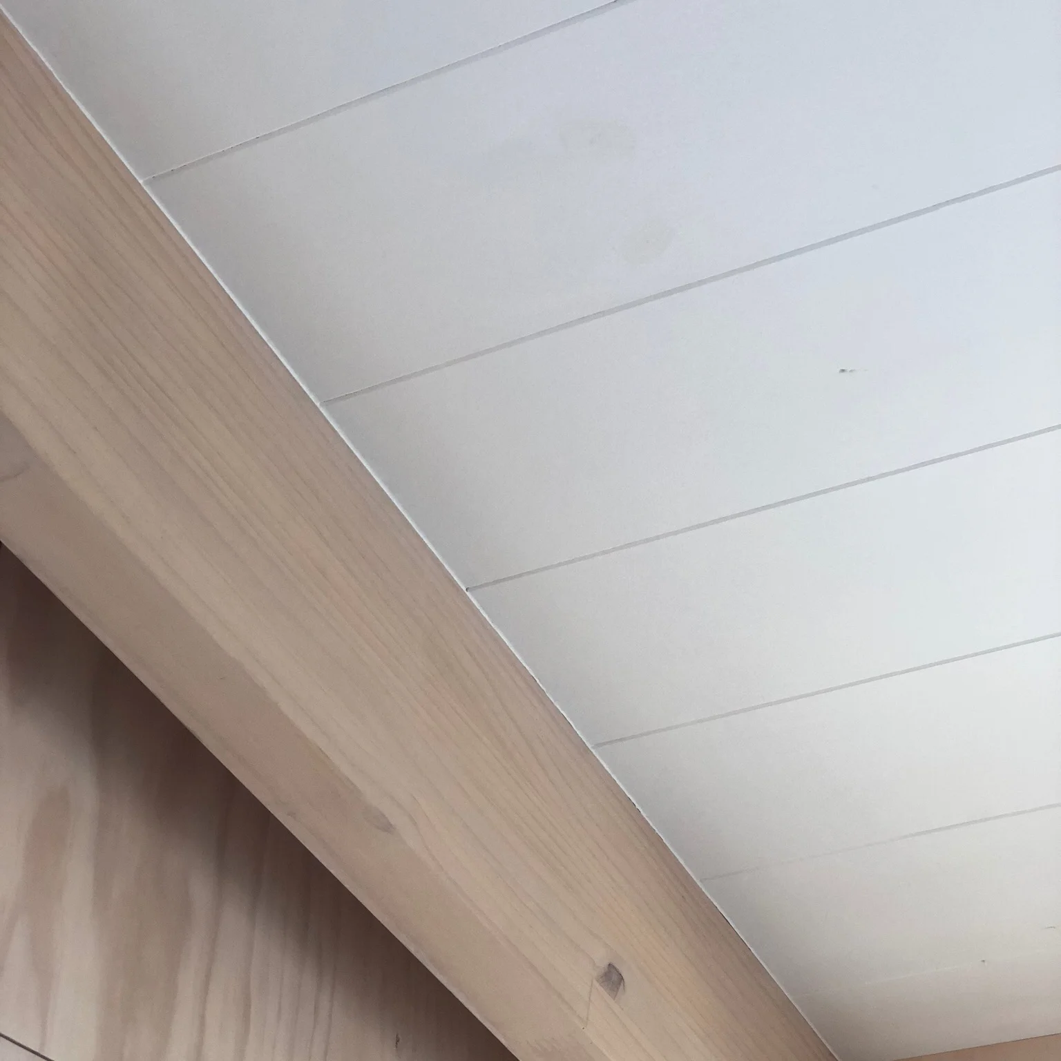 interior+ceiling+detail+.jpg