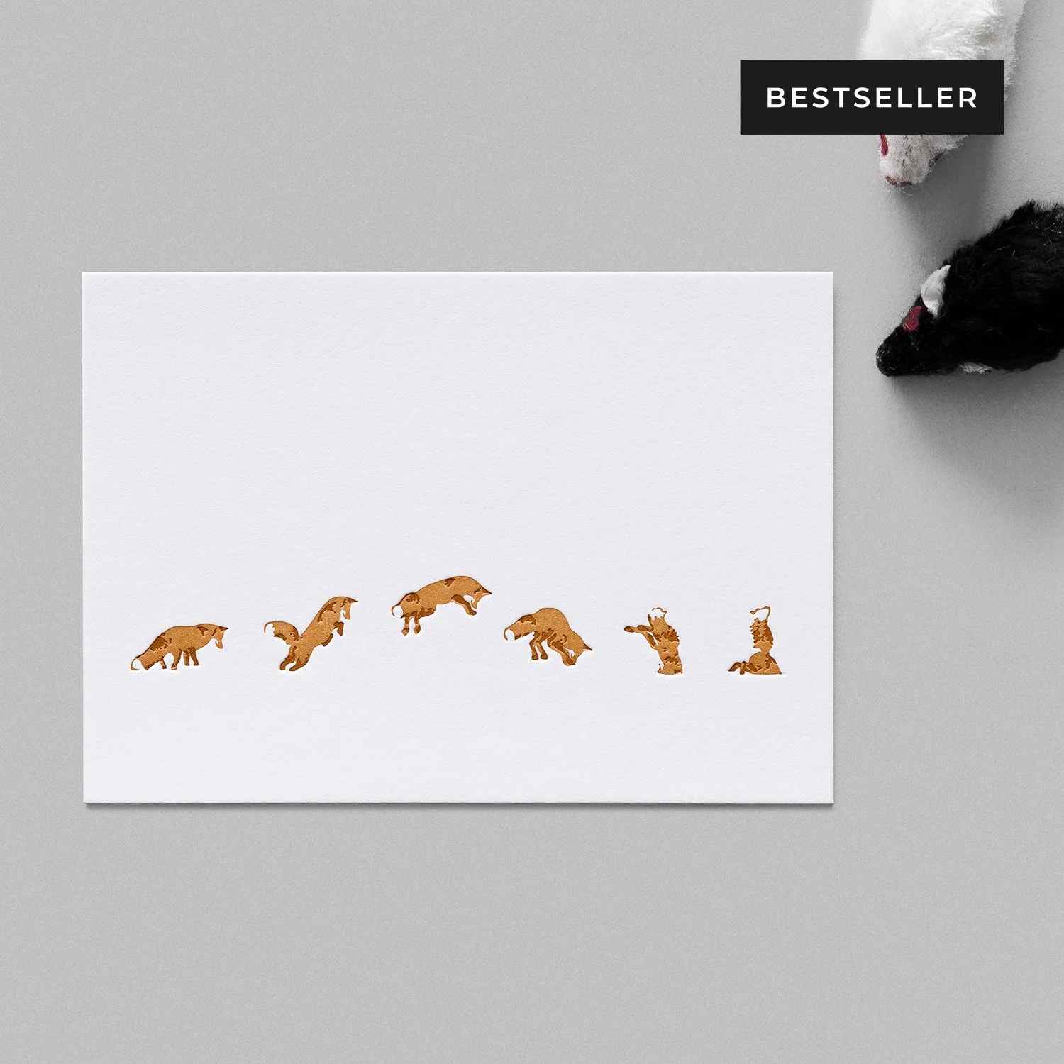 Fuchs-Studie_01_Bestseller.jpg