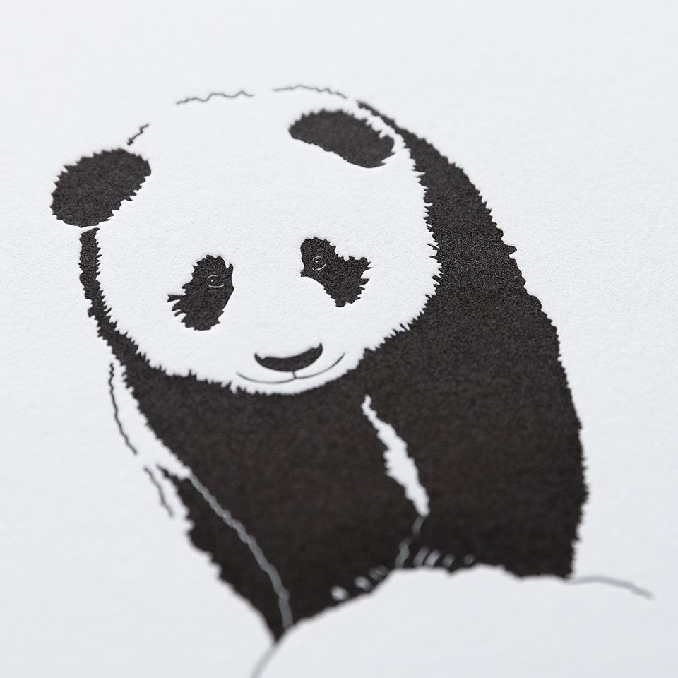 Panda_02.jpg