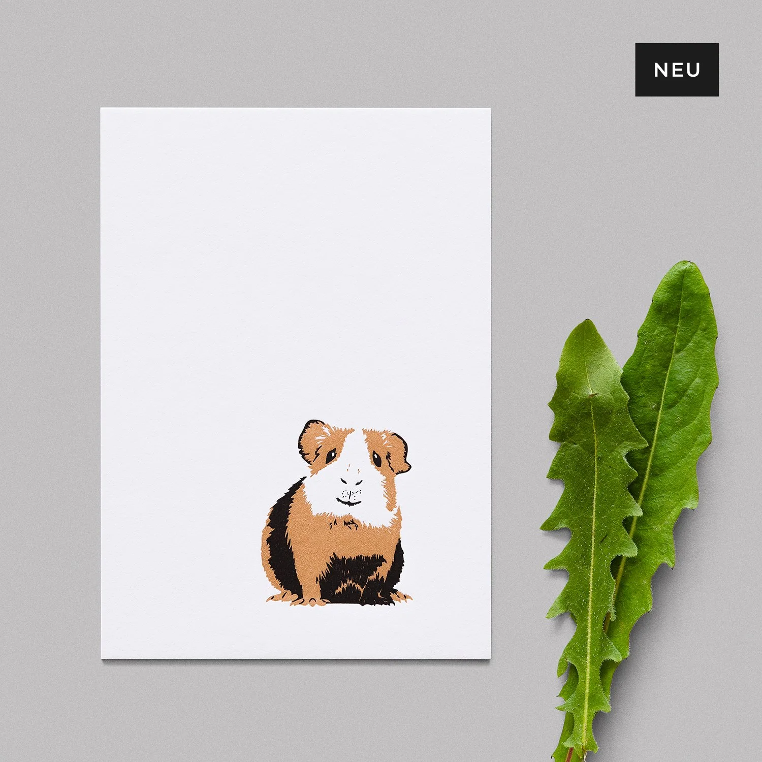Meerschweinchen_01_neu.jpg