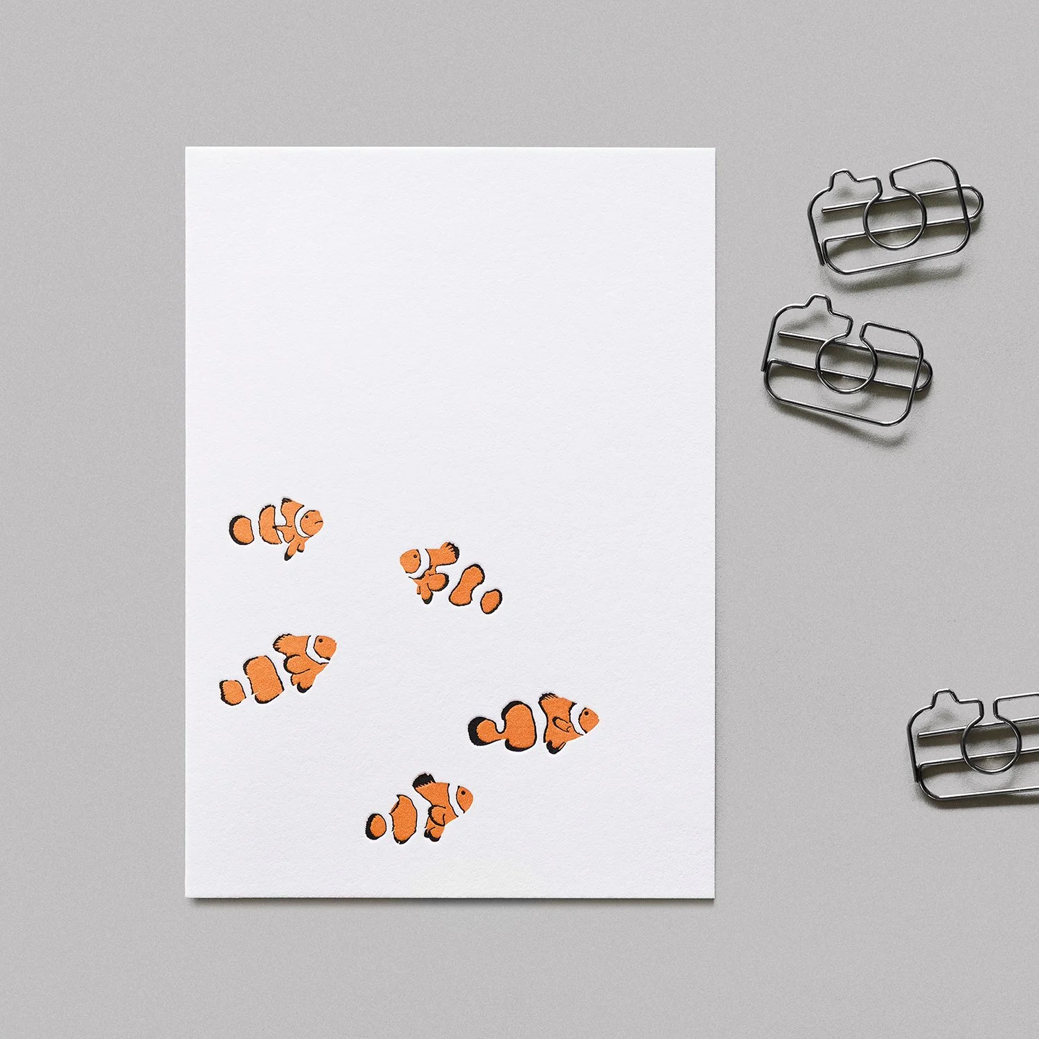 Anemonenfische_01.jpg