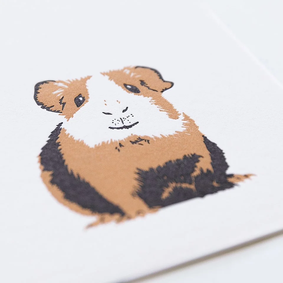 Meerschweinchen_02.jpg