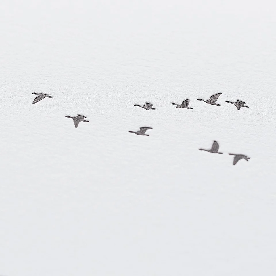Gänseflug_02.jpg